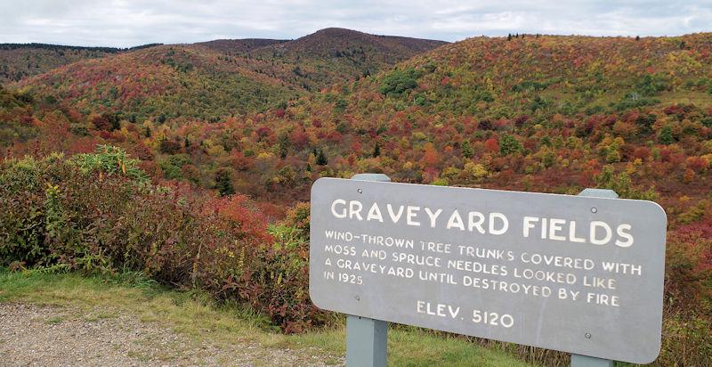 TourAsheville's tweet photo. Fall color today at Graveyard Fields on the @BlueRidgeNPS . More on fall: http://t.co/DMClkRdzqY #NCfalloffame http://t.co/kE4bLXd55a