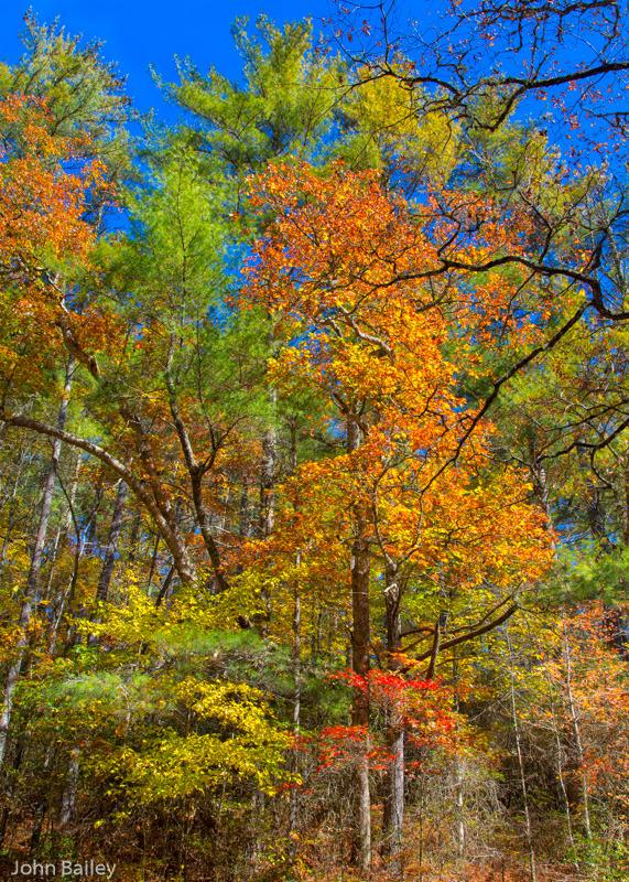 John_M_Bailey's tweet photo. Fall Colors! #travel #vacation #jbphotoart Click on image to view larger. http://t.co/wZR1ByKOF0 http://t.co/iuPJIa0fk9