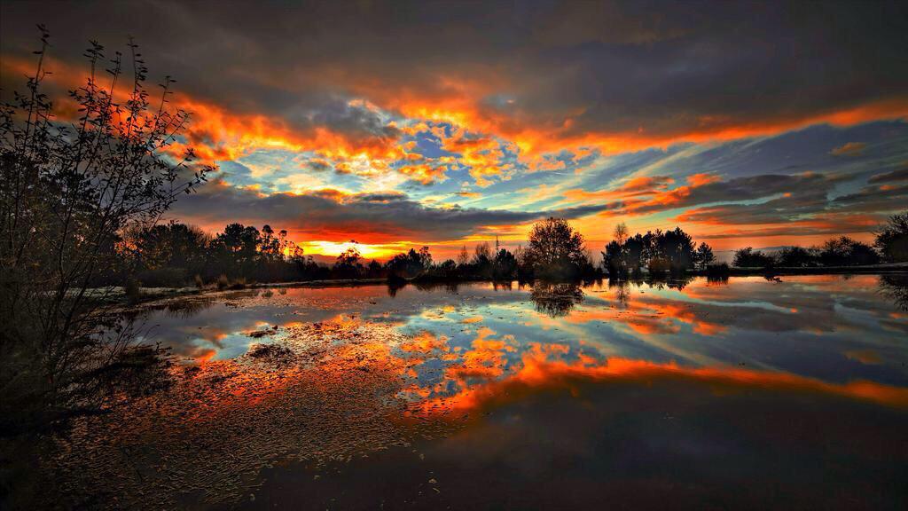 ChiIIVlbes's tweet photo. I'm obsessed with sunsets 😍🌅😍 http://t.co/sEBndyKvqS