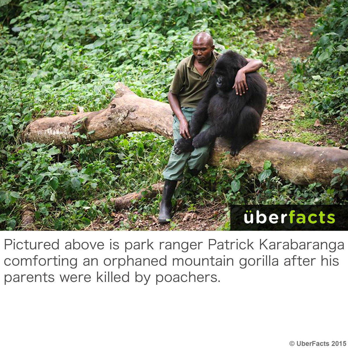 Heartbreaking...
