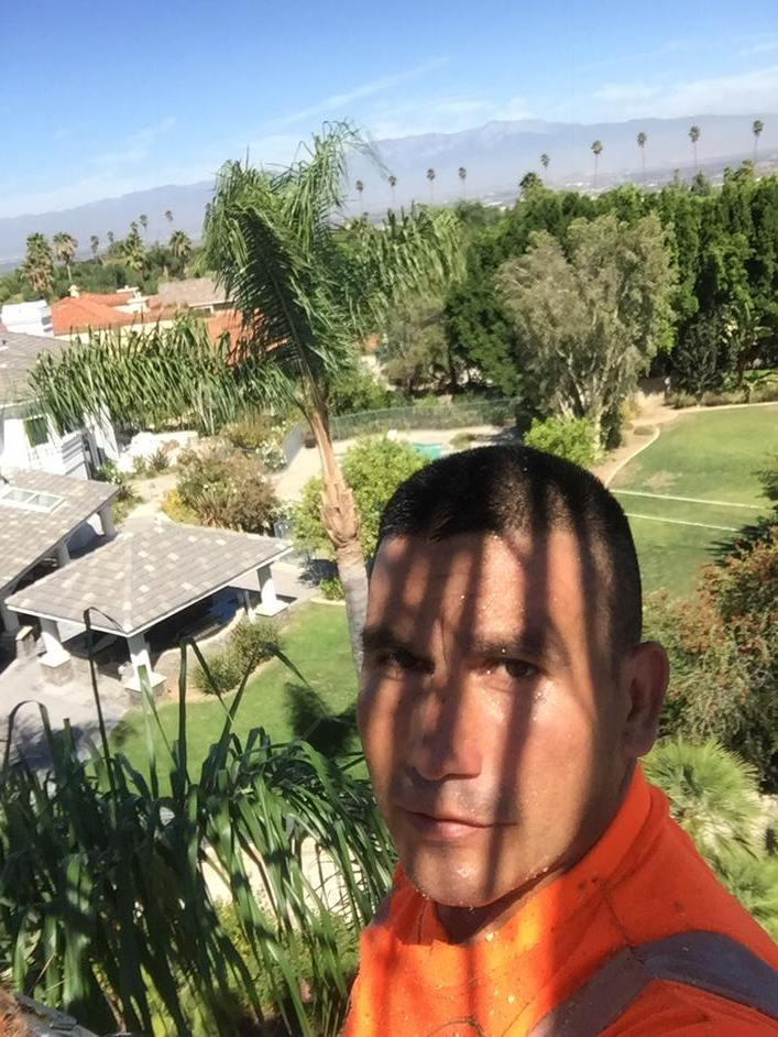 LandscapeUnique's tweet image. Nice view 70' high