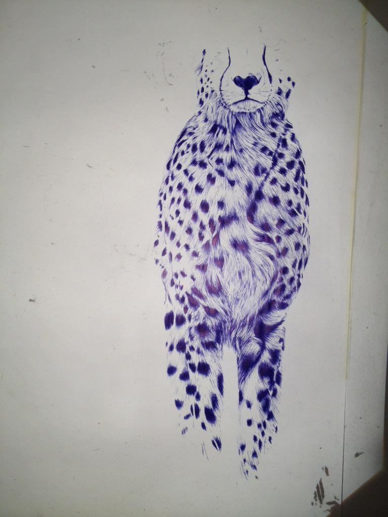 Daphne ter Wee tweet media