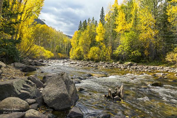dean_photos's tweet photo. Fall aspens on Chalk Creek St Elmo CO
#StElmo #CollegiatePeaks #Sawatch #FallAspens #Colorado
http://t.co/acOFE9PXst http://t.co/2hC8L93fr0