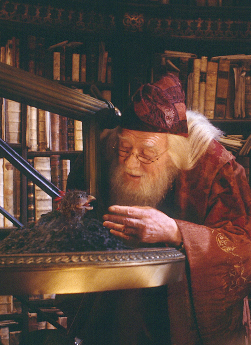 Hogwartssite's tweet photo. Varitas arriba por Richard Harris. Murió tras el rodaje de Harry Potter y la cámara secreta y hoy cumpliría 85 años. http://t.co/JzSpjavNj3
