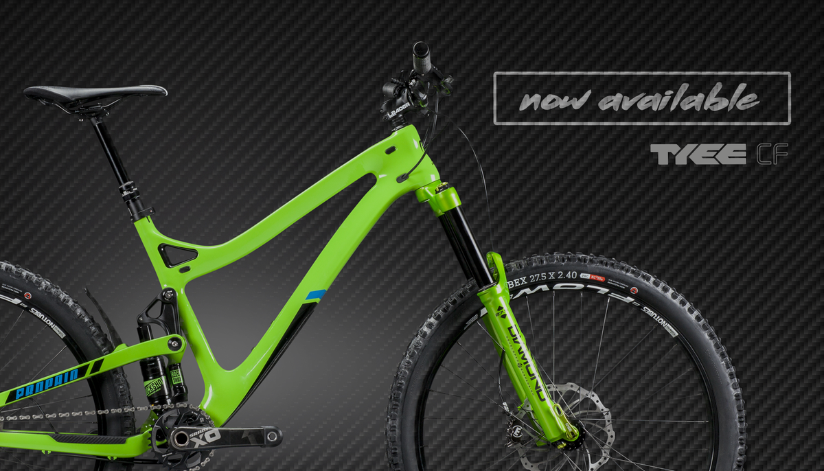 My finger is on the button: 3...2...1...ONLINE! The Tyee CF can be ordered as off now.