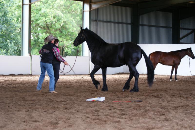 yourfirsthorse's tweet image. RT @WarwickSchiller "Have you seen our latest news?   http://t.co/k4hsJi9o8M" ow.ly/SZhZL