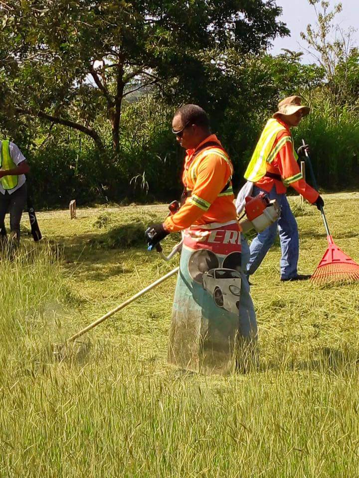 MoleyIbarra's tweet photo. Nuestros amigos en Jornada de Limpieza en la horqueta en San Pedro el Espino #SantiagoMasHumana http://t.co/9ffvxde47V