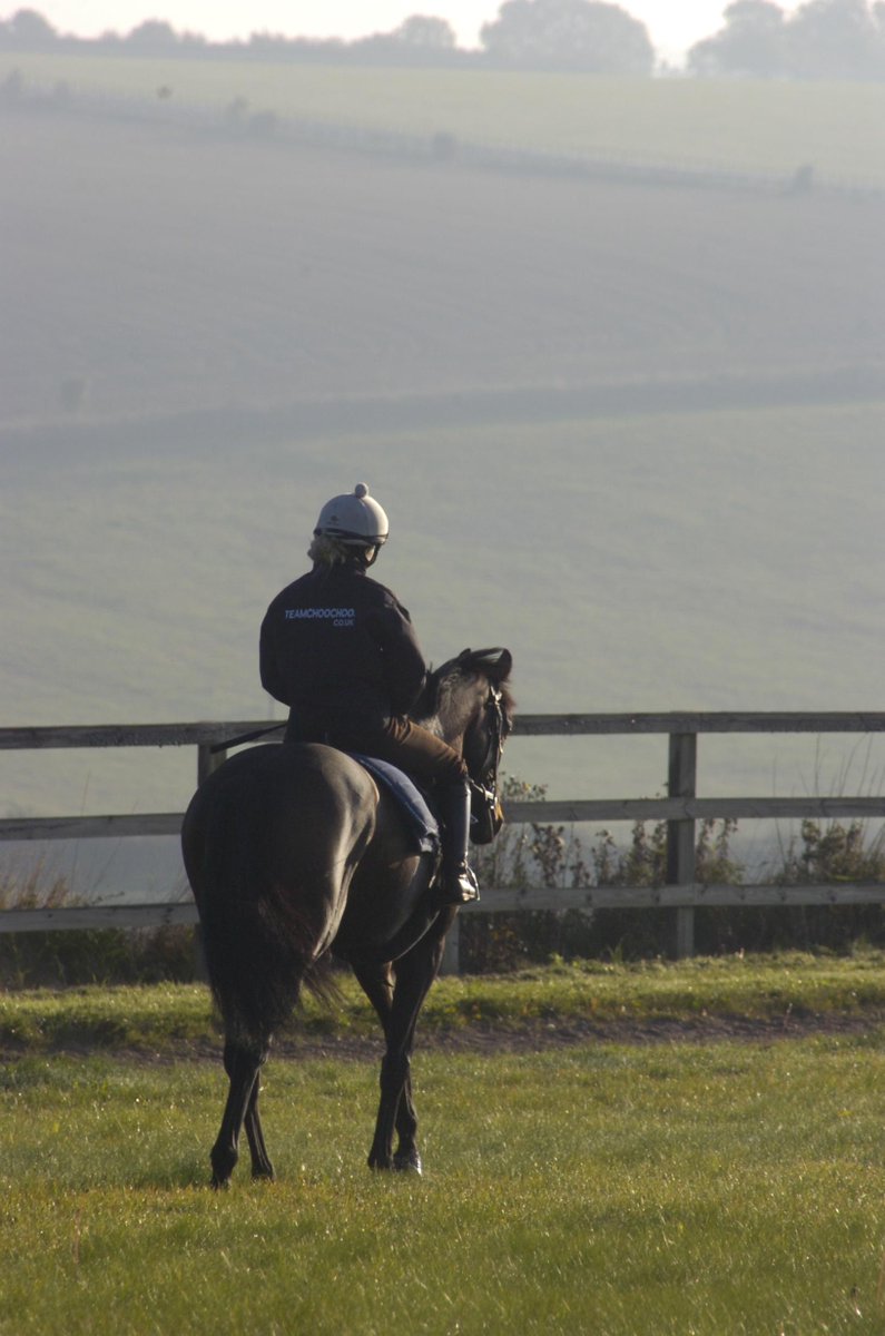 lynnchapman4's tweet image. @team_choochoo syndicate horses in great form this morning.@CondonRichie and @ClareeRobinson smart new jackets.