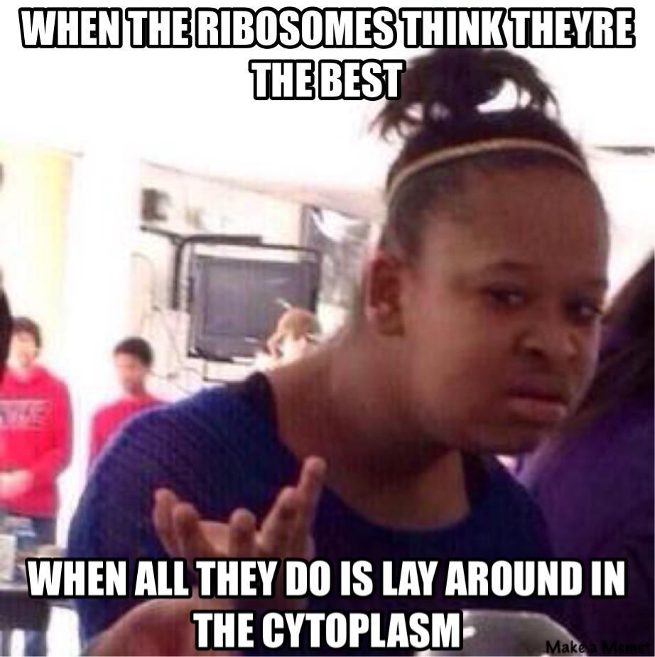 SMOOTH__ER's tweet photo. @ragingribosomes @MrHeitkamp #organellewars http://t.co/MBeZdoondW