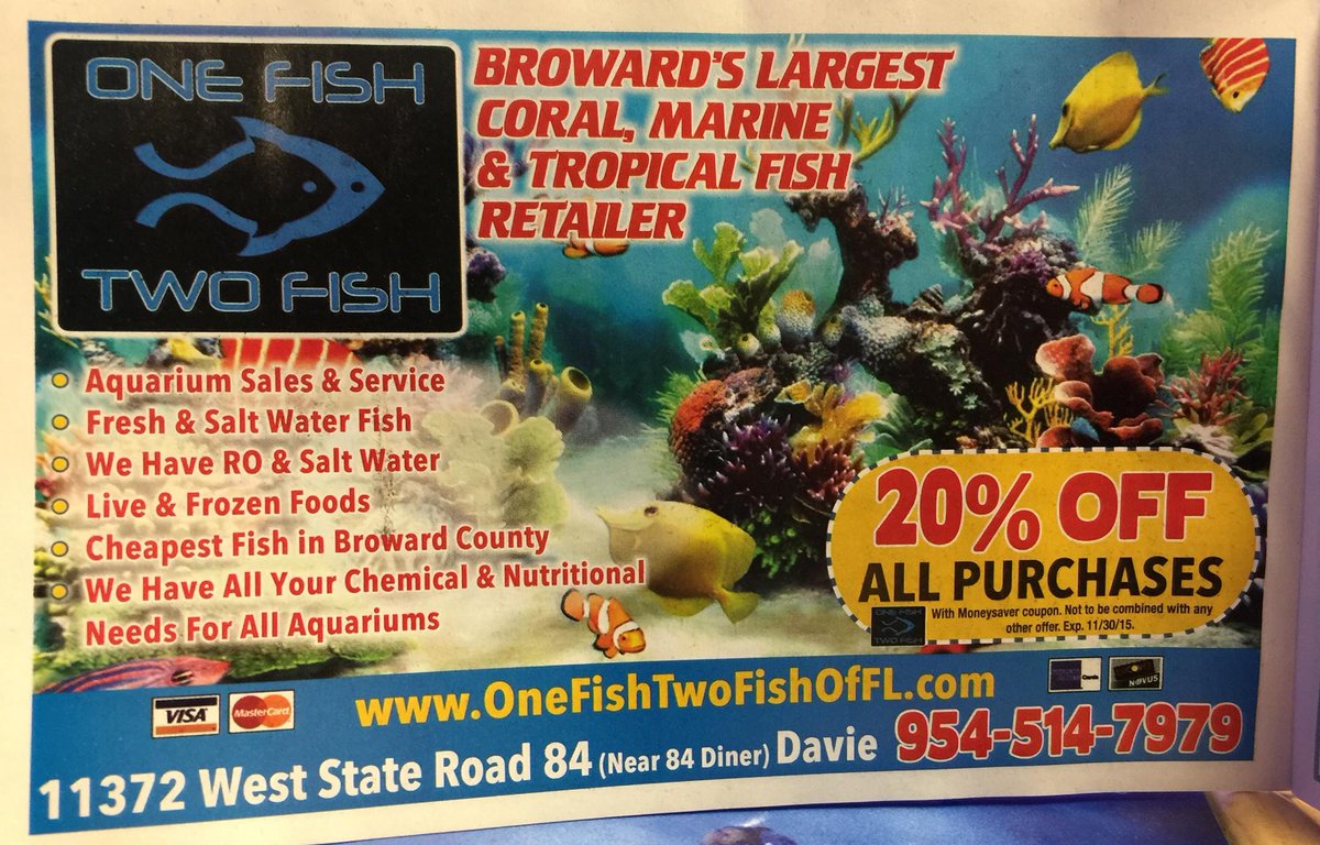 1fish2fishdavie's tweet photo. Check out our ad in Moneysaver this week and bring in the ad to receive 20% off your purcahse!!! http://t.co/HXPKa7Wd8b