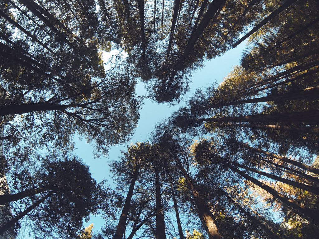 Shelby O'Connor tweet media