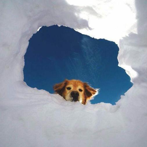 Federico 🌾🦬 tweet media