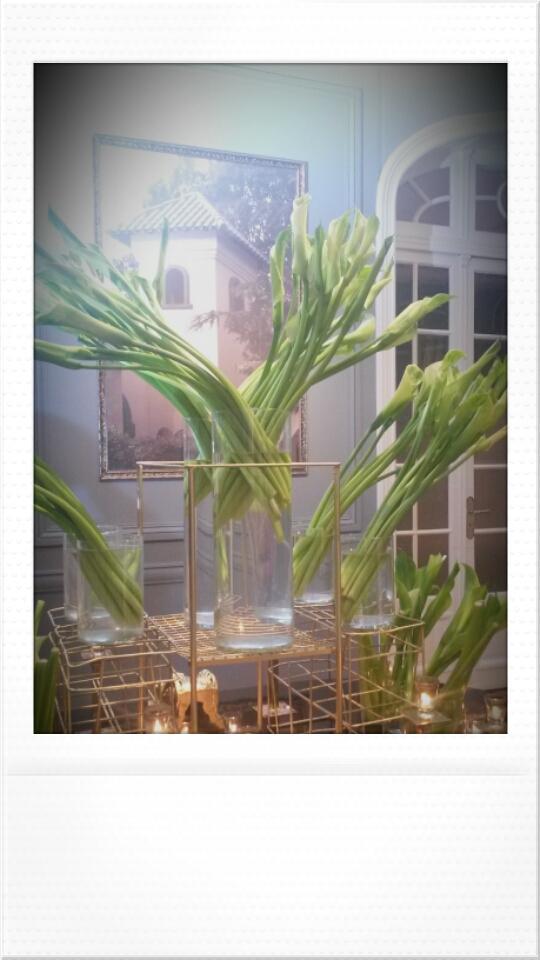 Postales de #casaNIETO