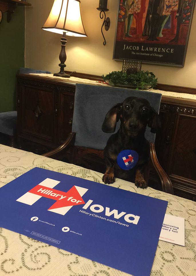 ScottKosanovich's tweet photo. Join Gretel and commit to caucus for @HillaryClinton today! 
Commit here: http://t.co/YUGmkoUpvC
#DogsforHillary http://t.co/69tynbyVxO