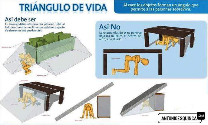 Muy importante no olvidar el llamado triángulo de la vida! <a href="/En_laDelValle/">En la Del Valle</a> <a href="/Seg_NapolesDF/">Seguridad NapolesDF</a> <a href="/LaNapolesDF/">La Nápoles</a> <a href="/En_laDelValle/">En la Del Valle</a>