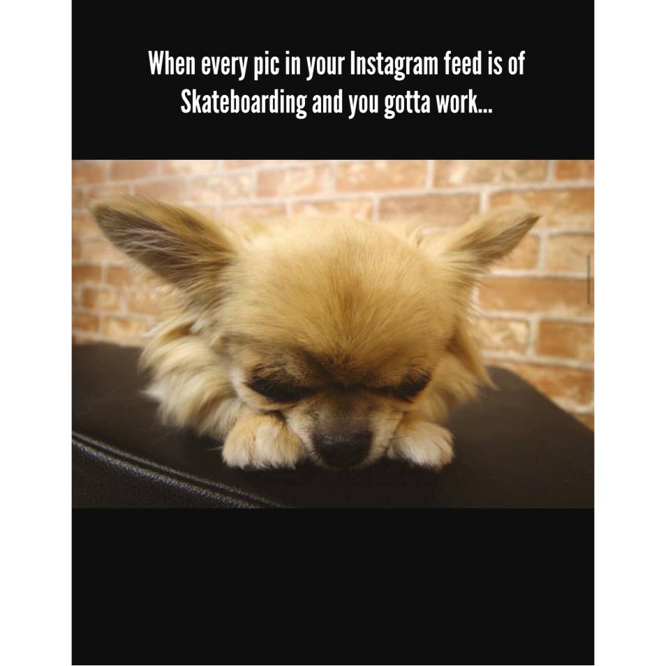 ashley bloxham tweet media