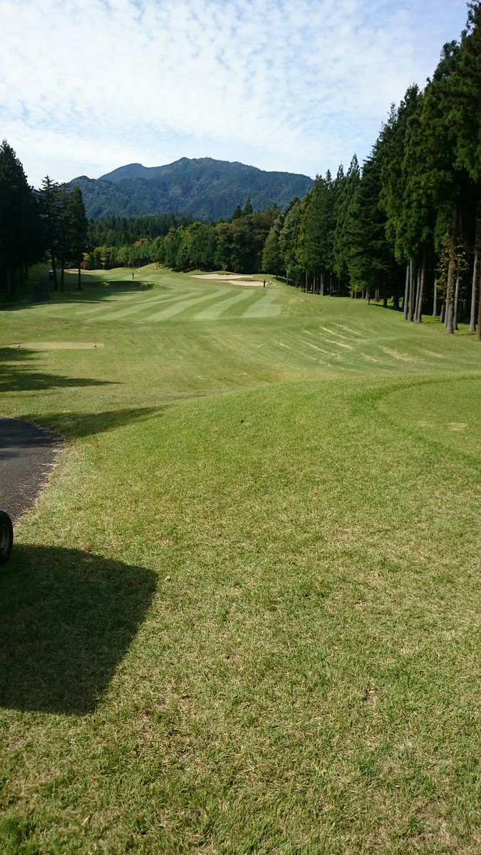 やっと写真撮る余裕出てきた