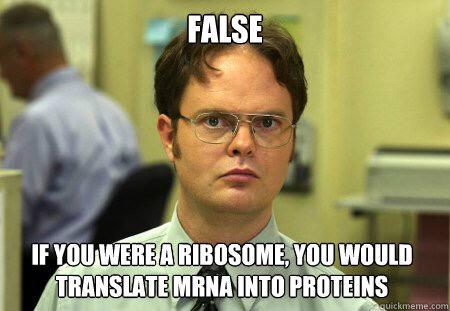 JrRibosomes's tweet photo. @MrHeitkamp  @SMOOTH__ER  * cough * cough #organellewars http://t.co/iONHMsenXj