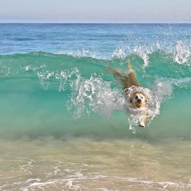 Riding the wave. imgur.com/gallery/W5tRvLc