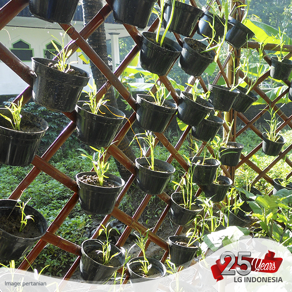 Metode menanam vektikultur merupakan metode yang tepat bagi yang memiliki halaman rumah yang sempit. #LGLovesGreen