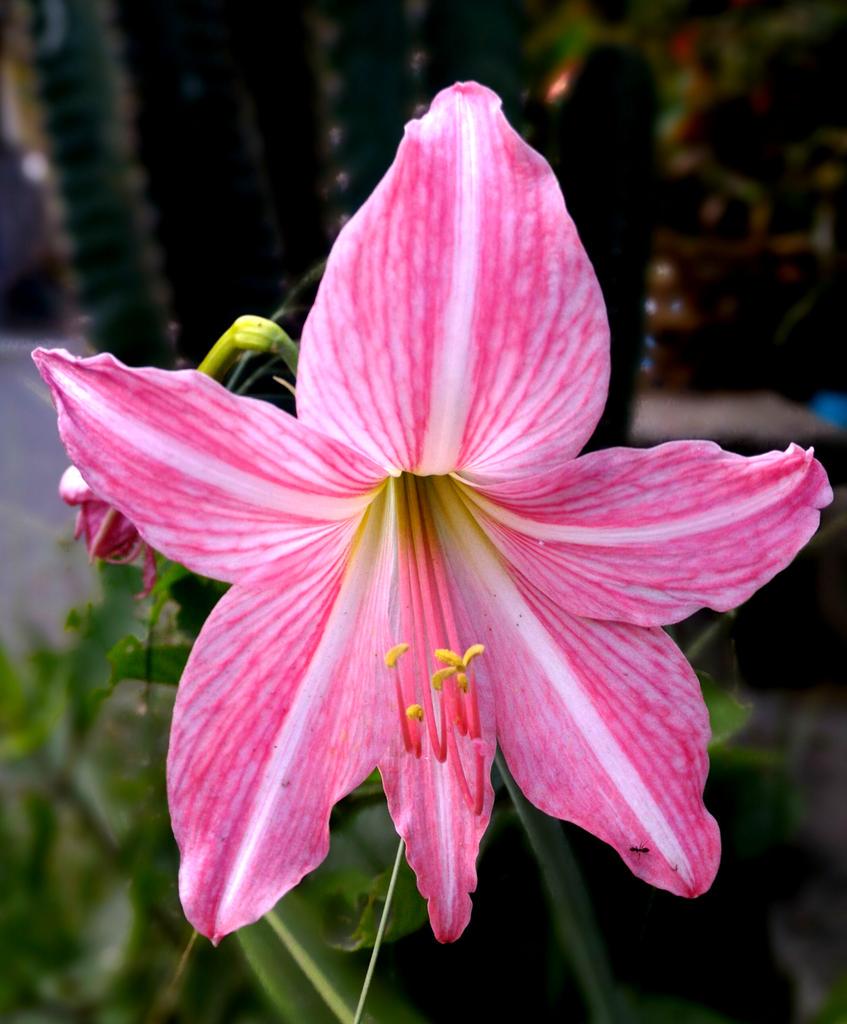 OL3 (@si_ole) on Twitter photo 