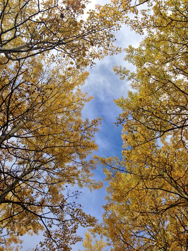 Enjoying the beauty of fall!