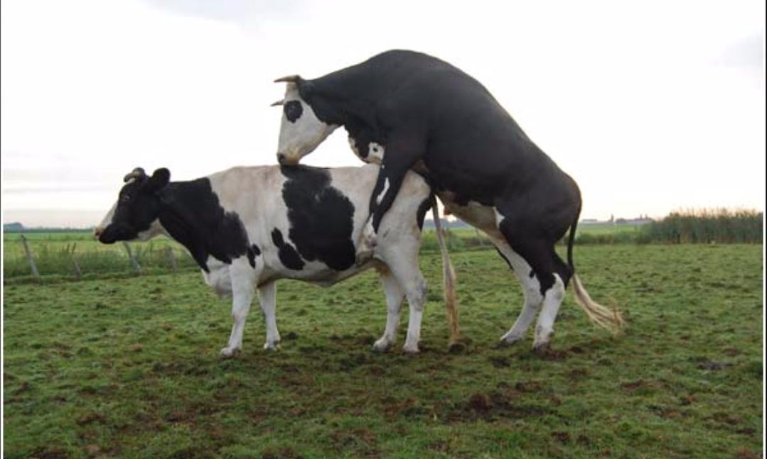 Iedereen is vandaag blij,
Ut is #Bolletongersdei.
.
.