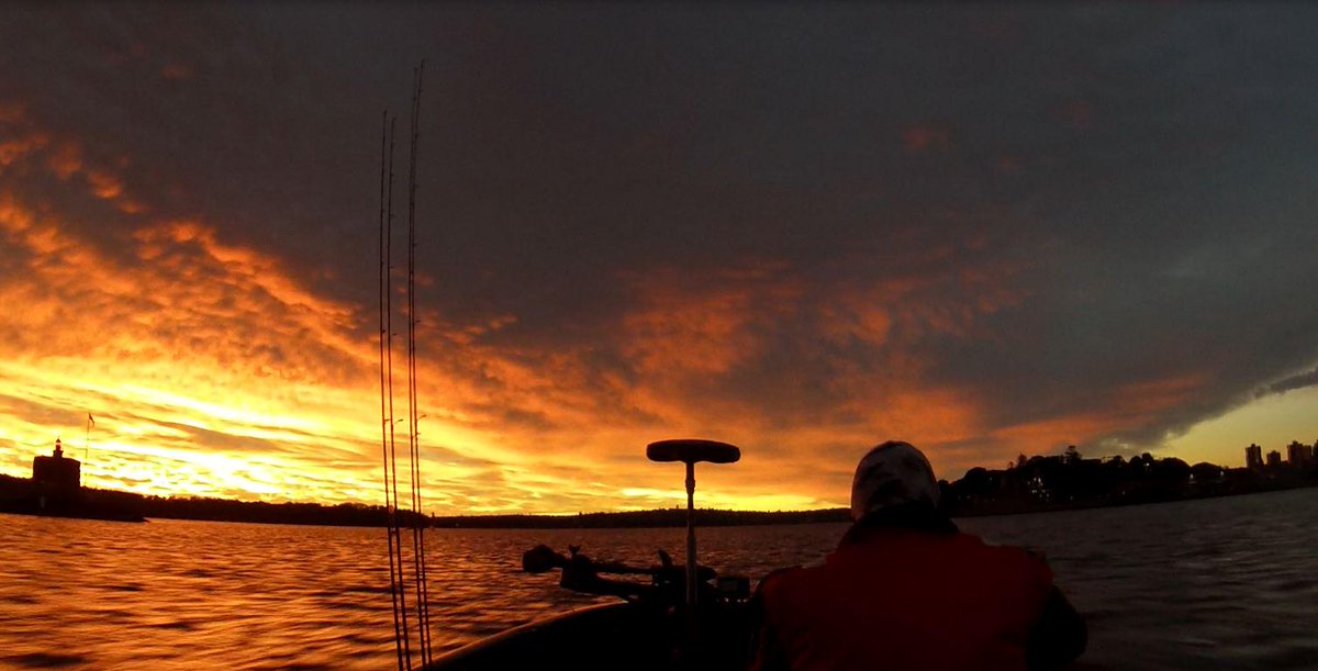 ProBreamFish's tweet image. Good Morning #Sydney #fishing