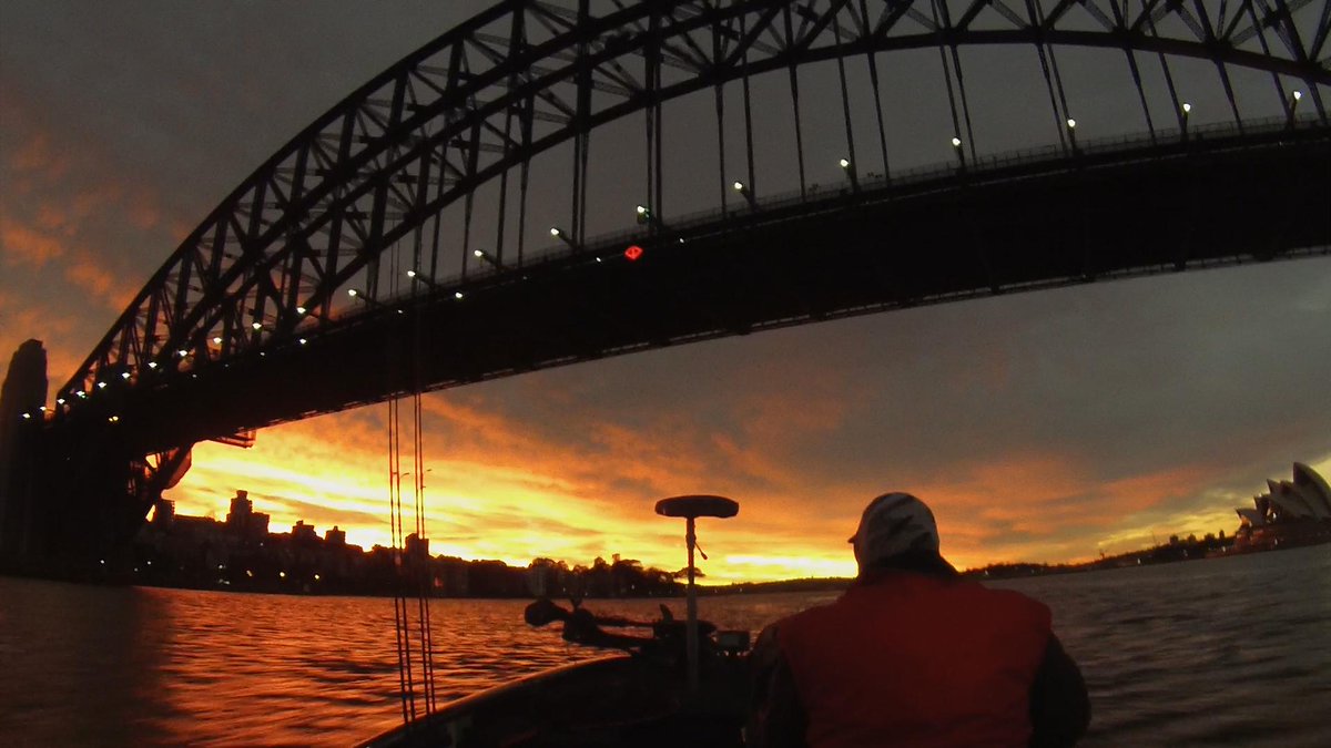 ProBreamFish's tweet image. Good Morning #Sydney #fishing