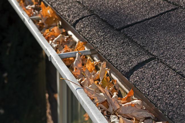 apureclean's tweet image. Fall's. Have us clean your eaves receive 10% until November 30/2015. Visit clean.ca today and save!
