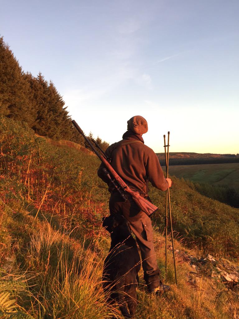 ianbeal92's tweet photo. Deer stalk this morning in Scotland @HaworthAdam #deer #stalking #scotland #moffat http://t.co/mqt288Lqpa