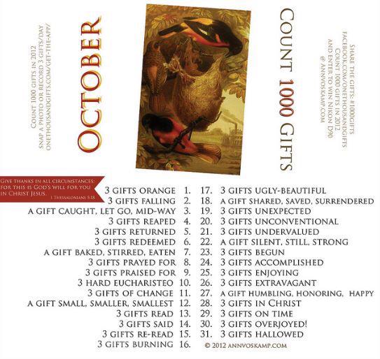thewarriorlily's tweet photo. Taking on the challenge to to count #1000gifts this month... @AnnVoskamp http://t.co/RIXMvDStwO
