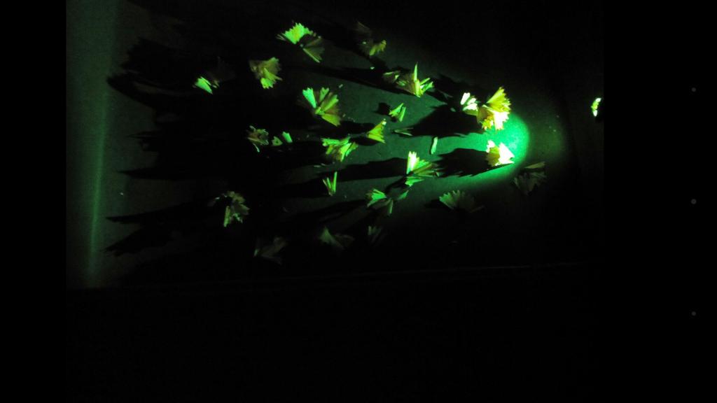 mghadiok's tweet image. Banal things turn brilliant @ vis a vis, New Delhi, India
#ialdchasedark
#chasethedarkwithmondoarc