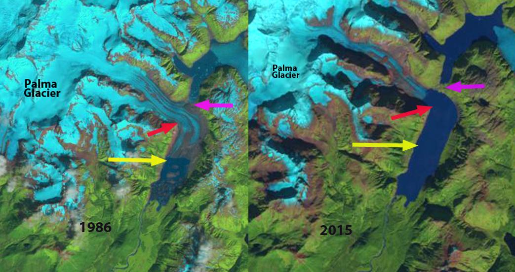 realglacier's tweet photo. Palma Glacier, Alaska retreats 2 km in last 30 years, #landsat shows #climatechange impact.
http://t.co/ltaAMEUBD4. http://t.co/0matzma8pv
