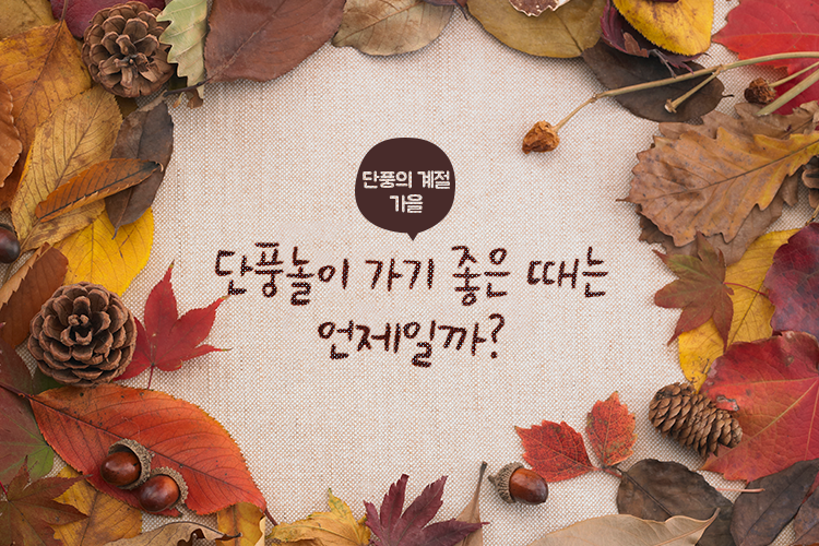 PLAYPostbox's tweet image. 가을 단풍놀이 가기 좋은 날은? 
ilovepostbox.blog.me/220496510391
#단풍 #단풍놀이 #가을여행가기좋은날 
#가고싶다