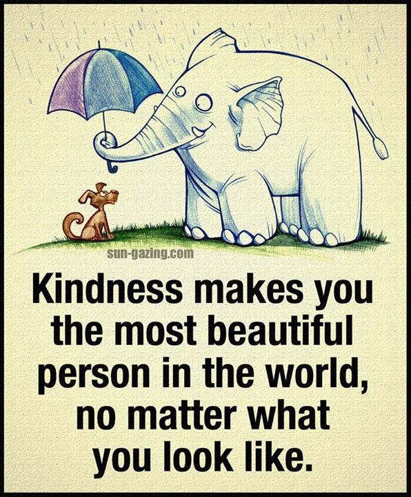 jujunibug's tweet image. 