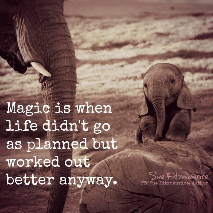 jujunibug's tweet image. 