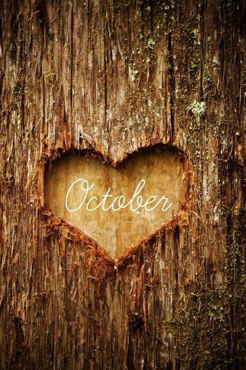 Can't believe it's #October already!! #autumn #favouritemonthoftheyear