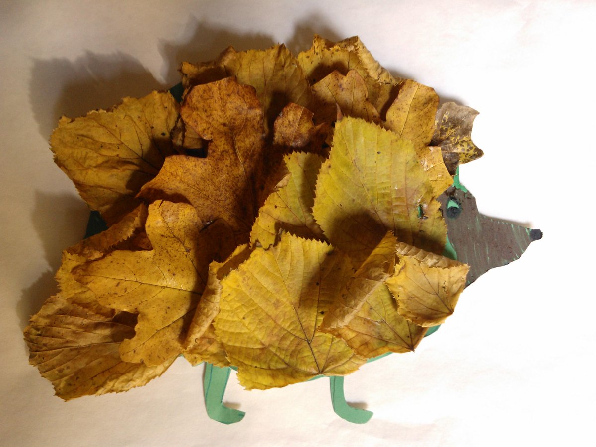naturebygreen's tweet image. #Hedgehog leaf art made by my daughter. @ptes @hedgehogsociety @hedgehoghugh @wearewildthing