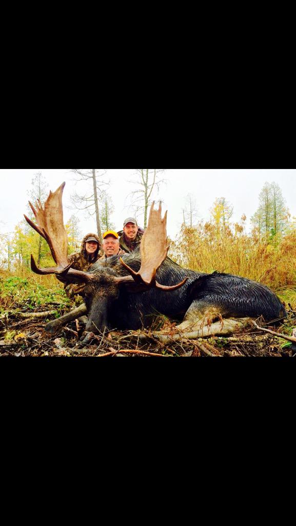 KillbuckScents's tweet photo. Look at this moose Killbuck Scents owner, Pete Smith harvested this week! All caught on film! #somuchmeat #killbuck http://t.co/9ADWwWarRa