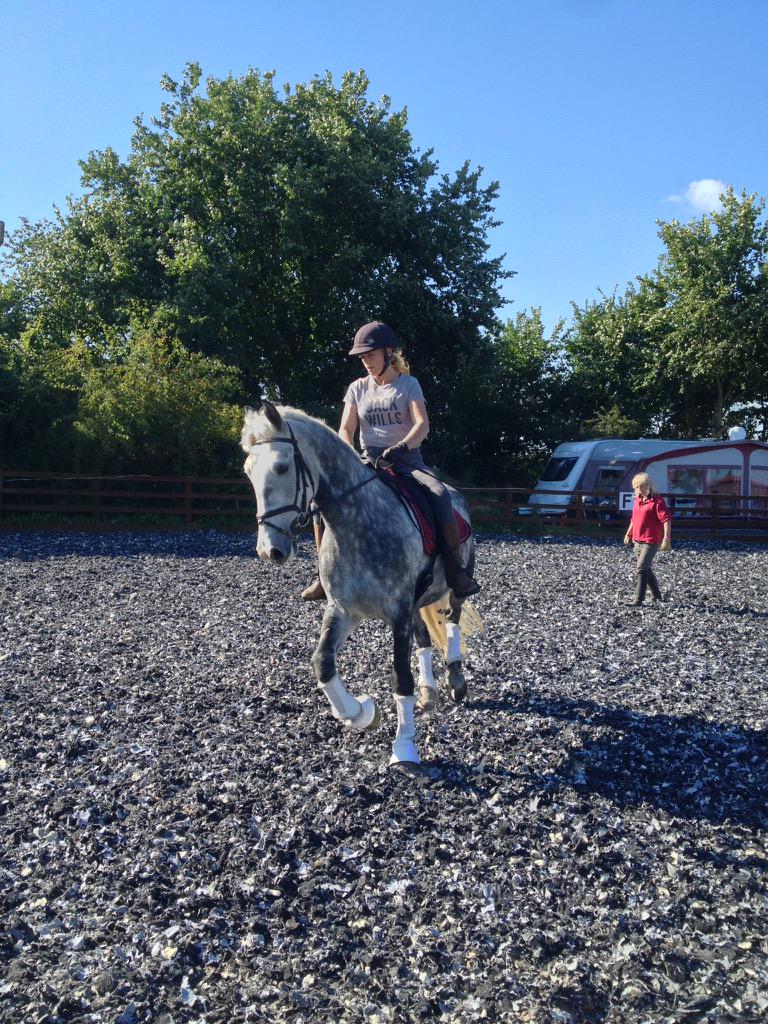 Great Oak Equestrian (GreatOakEq) Twitter