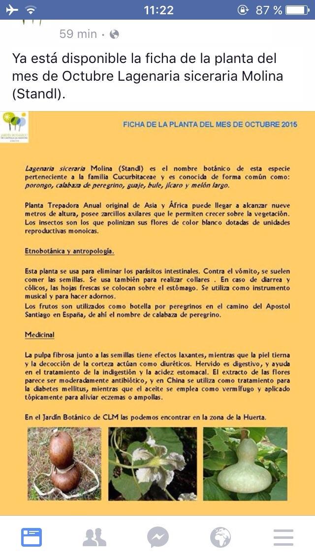 LA PSEUDOCIENCIA LLEGA AL <a href="/JardinBotanicoC/">Jardín Botánico Canario Viera y Clavijo</a> EN FORMA DE FALSA PLANTA MEDICINAL