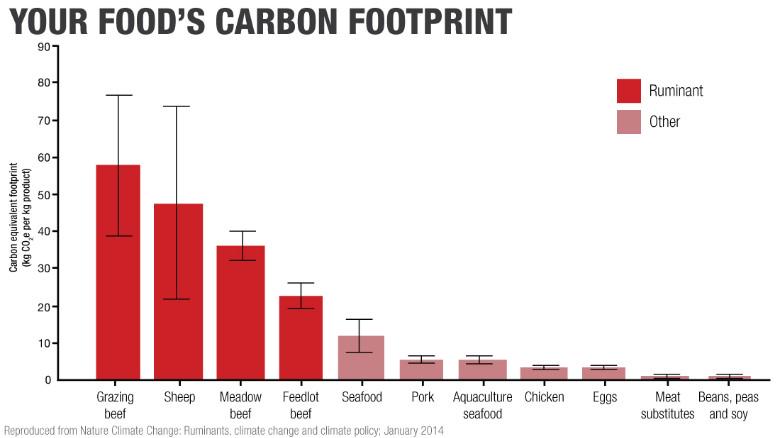 cnni's tweet photo. Would you go veggie to help address #climatechange? http://t.co/523UZaaXbk #WorldVegetarianDay #2degrees http://t.co/SmeTEWAdrX