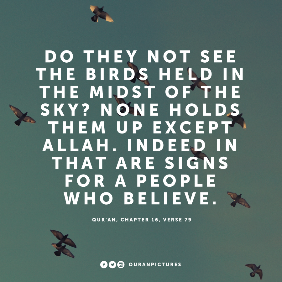 Surah An Nahl, Verse 79