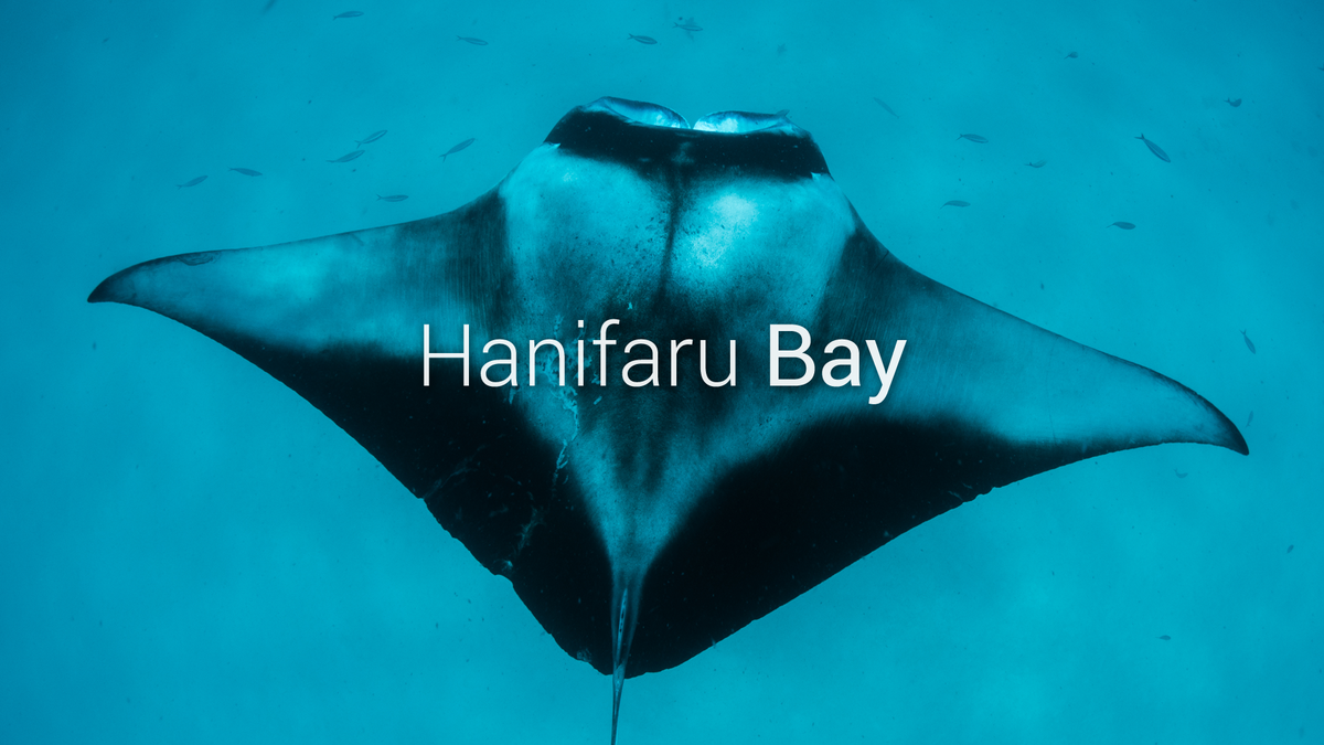 Manta Trust tweet media