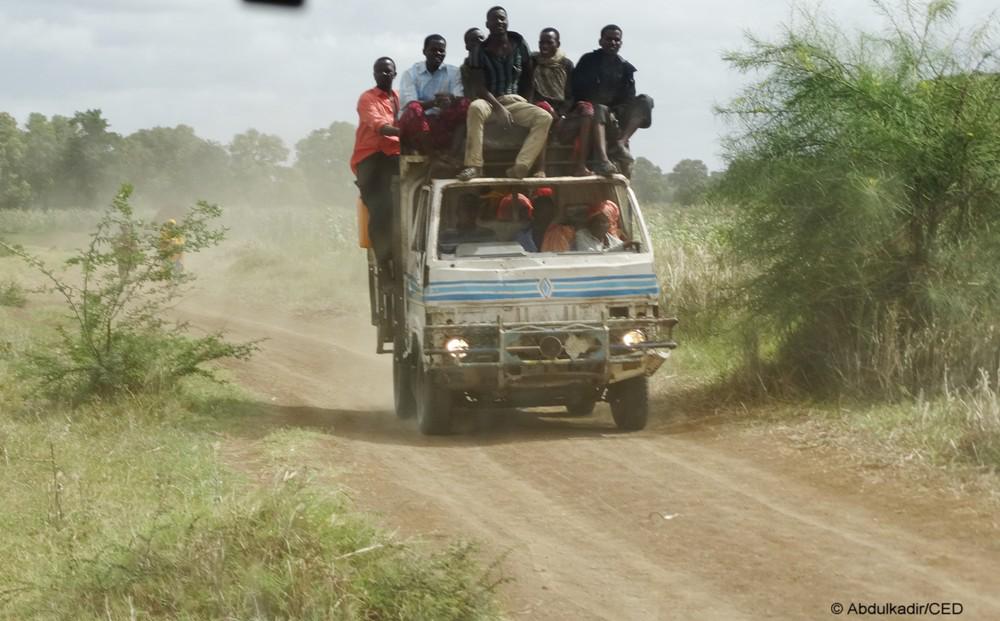 ced_org's tweet image. Farmers from Bananey village taking their harvested crops to Jowhar market in Middle Shabelle Region. @stability_fund