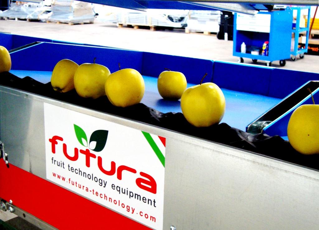 futurasrl's tweet image. An apple a day keeps the doctor away..can you imagine what tons of it can do? #fruitgrading #fruitsorting