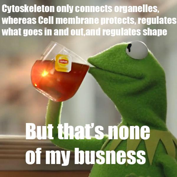 mrs_plasma's tweet photo. @MrHeitkamp #organellewars http://t.co/1iCZUO0I5V