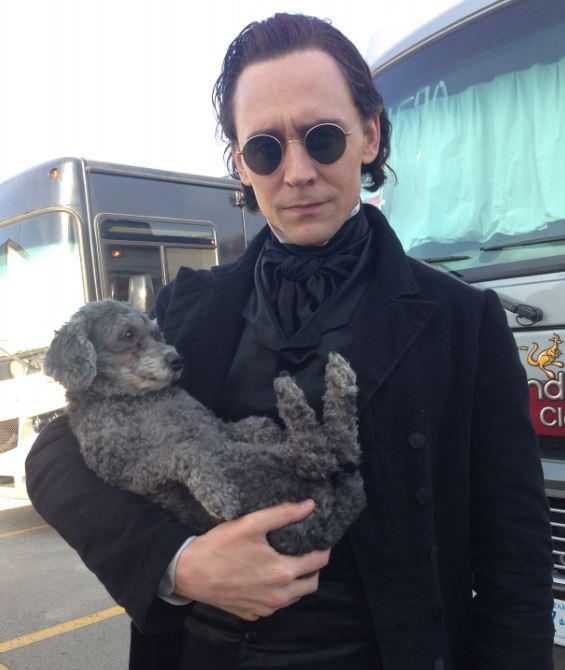 IMDb's tweet photo. "Our make-up designer Jordan Samuel's dog Charlie, our mascot for the film." - TH @twhiddleston #IMDbAskCrimsonPeak http://t.co/CfFnPg5HBP