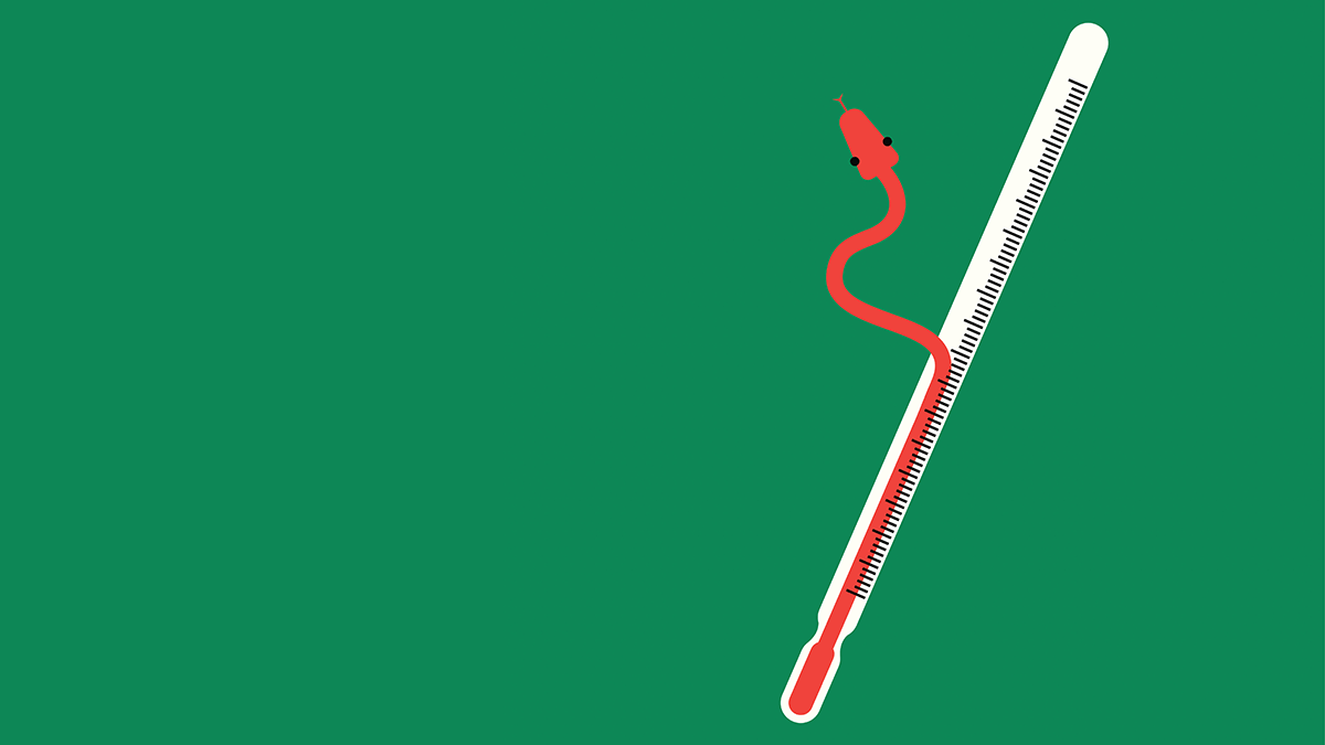 HBRhealth's tweet photo. The Costs of Racial Disparities in Health Care http://t.co/EfcupPH3VK http://t.co/4JChMiePk2